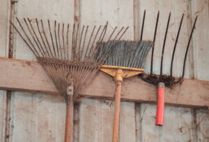 Photo of old garden tools.